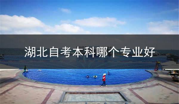湖北自考本科哪个专业好