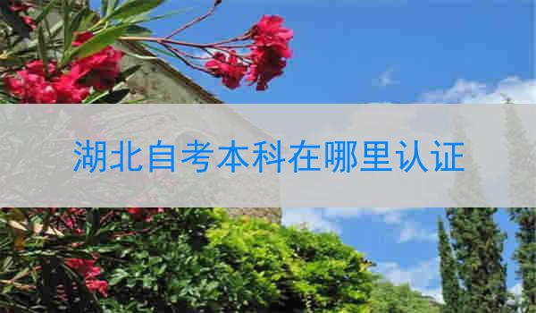 湖北自考本科在哪里认证