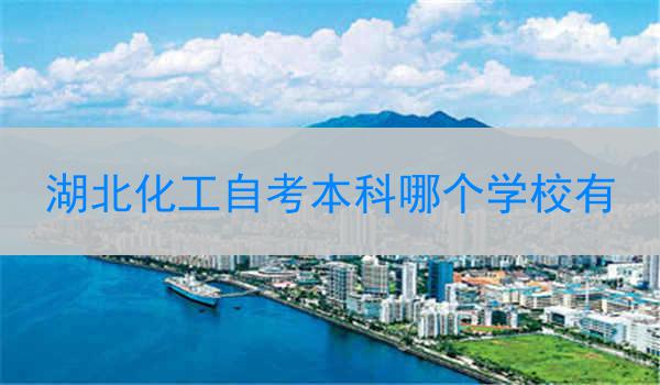 湖北化工自考本科哪个学校有