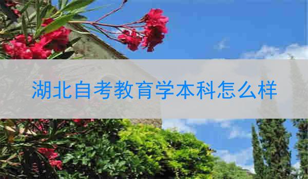 湖北自考教育学本科怎么样