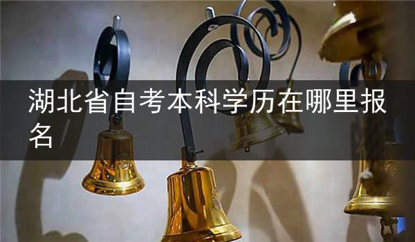 湖北省自考本科学历在哪里报名