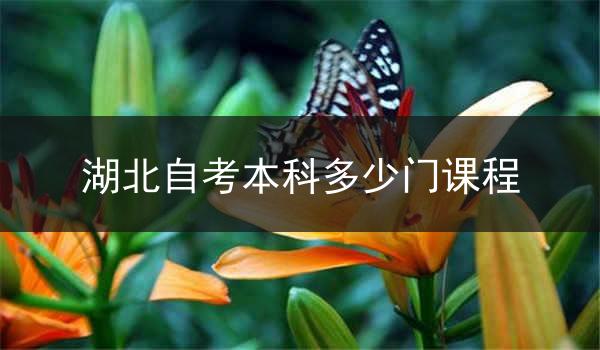 湖北自考本科多少门课程