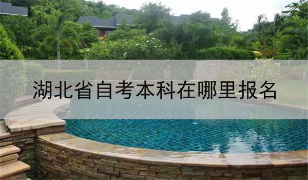 湖北省自考本科在哪里报名