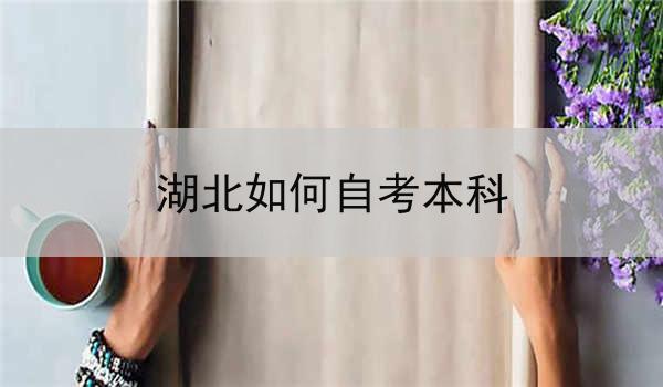 湖北如何自考本科