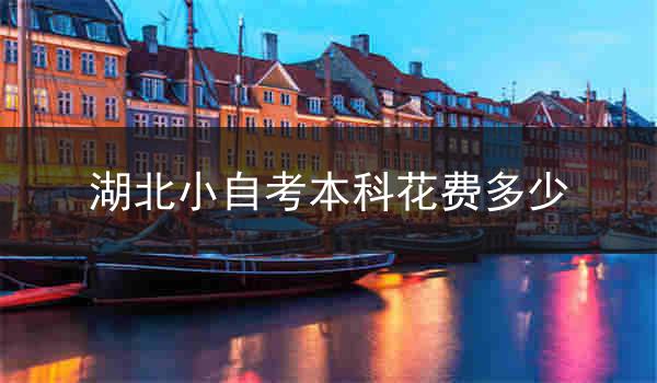 湖北小自考本科花费多少
