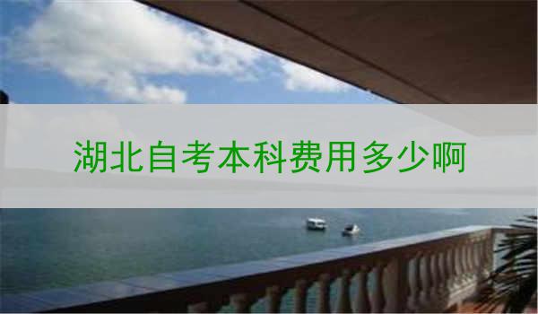 湖北自考本科费用多少啊