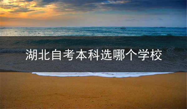 湖北自考本科选哪个学校