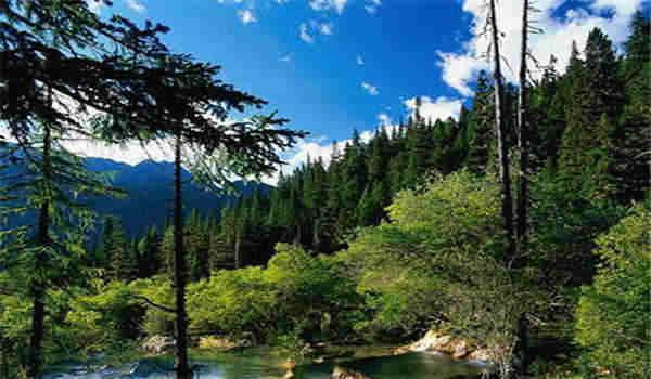 在哪里报湖北自考本科学校