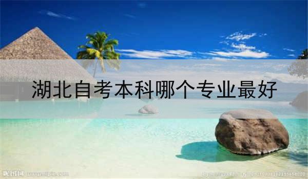 湖北自考本科哪个专业最好