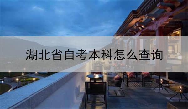 湖北省自考本科怎么查询