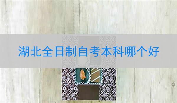 湖北全日制自考本科哪个好