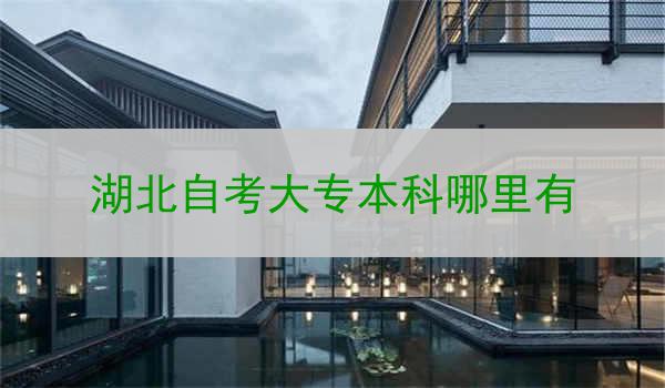 湖北自考大专本科哪里有