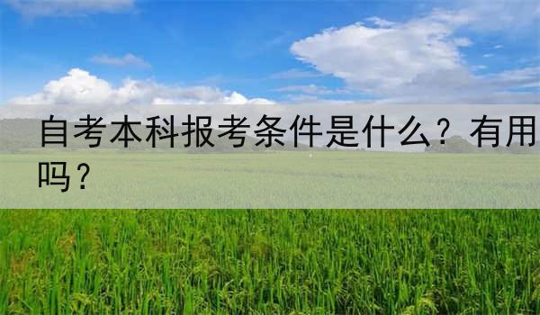 自考本科报考条件是什么？有用吗？