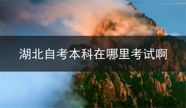 湖北自考本科在哪里考试啊