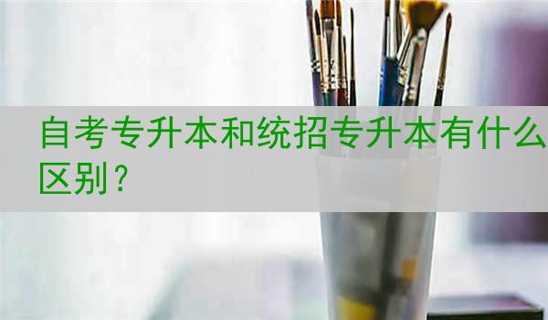 自考专升本和统招专升本有什么区别？