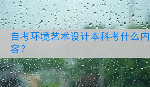 自考环境艺术设计本科考什么内容？