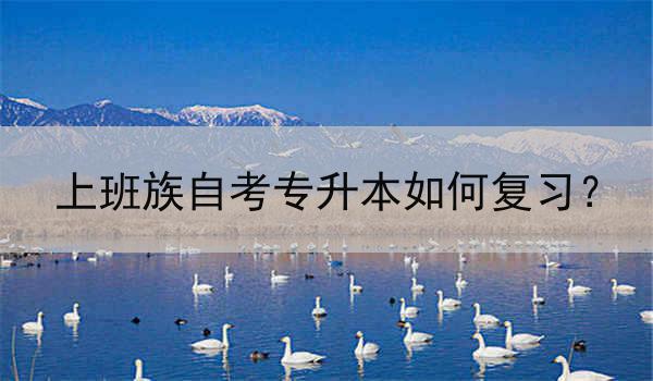 上班族自考专升本如何复习？