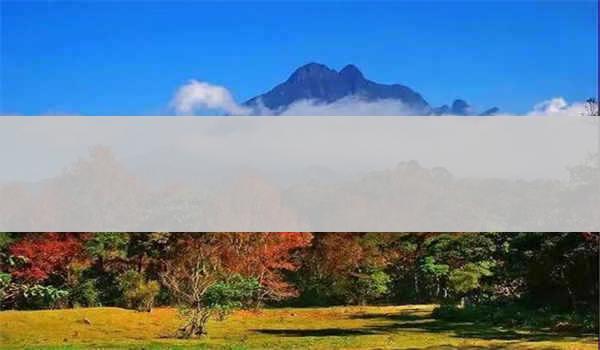 湖北成考有哪些学校可以报名呢?--湖北成考有哪些学校可以报名呢?