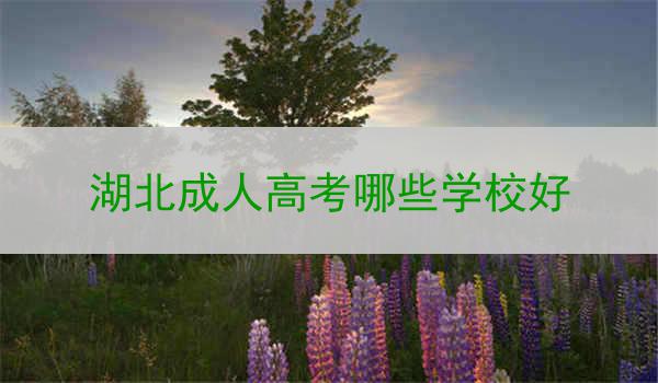 湖北成人高考哪些学校好