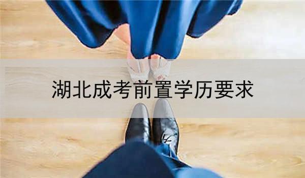 湖北成考前置学历要求