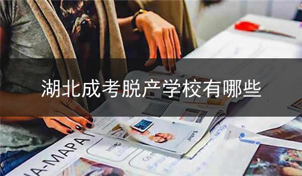 湖北成考脱产学校有哪些