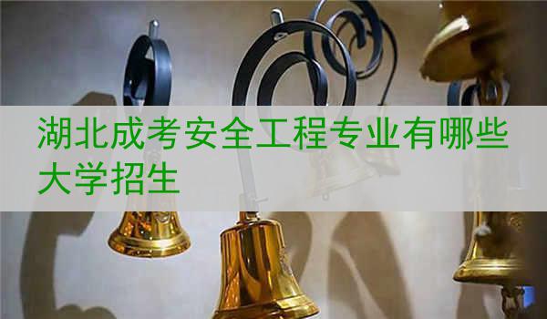 湖北成考安全工程专业有哪些大学招生