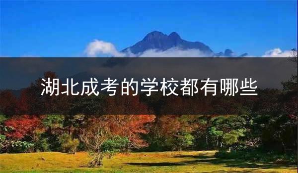 湖北成考的学校都有哪些