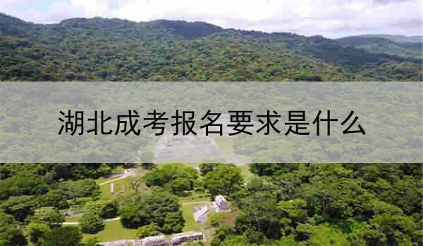 湖北成考报名要求是什么
