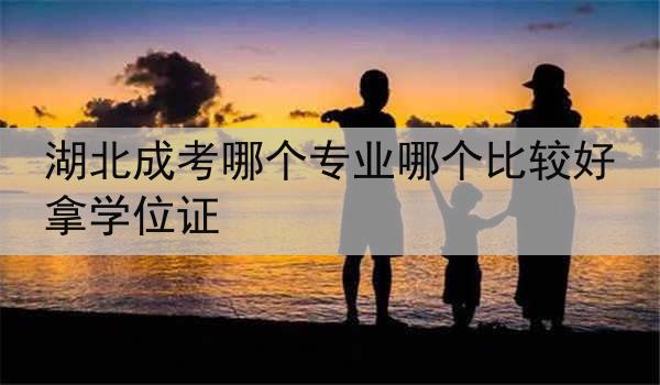 湖北成考哪个专业哪个比较好拿学位证