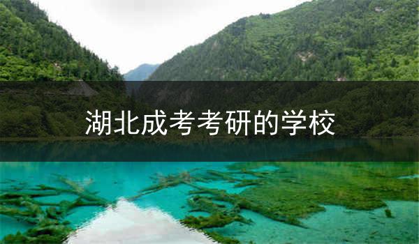 湖北成考考研的学校