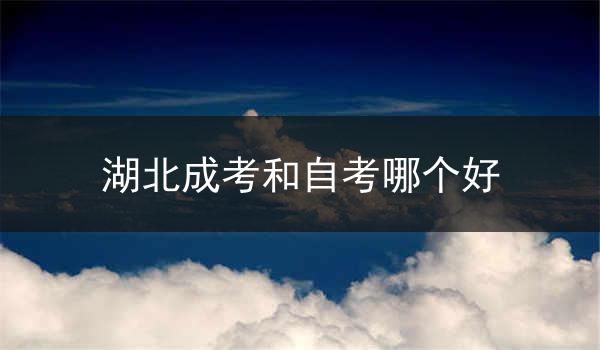 湖北成考和自考哪个好