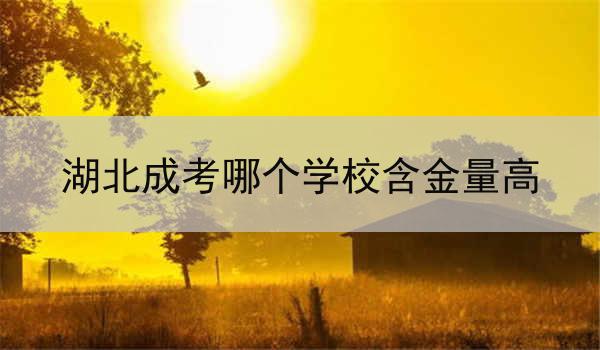 湖北成考哪个学校含金量高