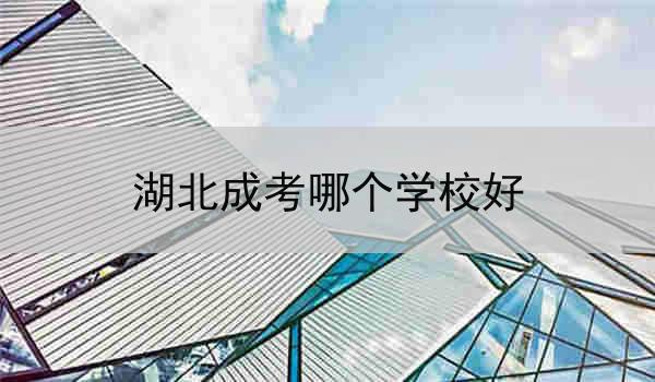 湖北成考哪个学校好