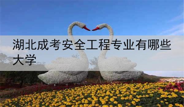 湖北成考安全工程专业有哪些大学