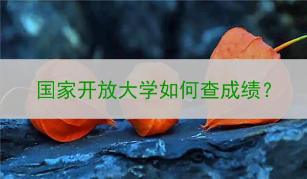 国家开放大学如何查成绩？