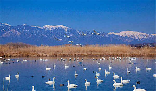 国家开放大学如何考试？