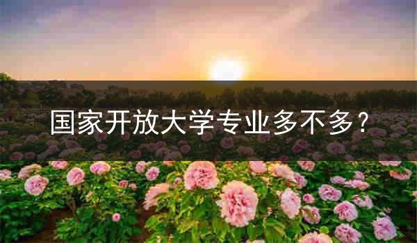 国家开放大学专业多不多？