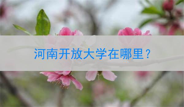 河南开放大学在哪里？