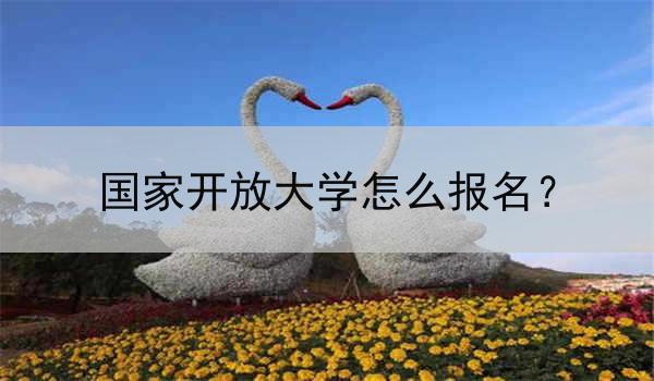 国家开放大学怎么报名？