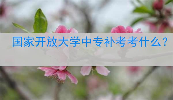 国家开放大学中专补考考什么？