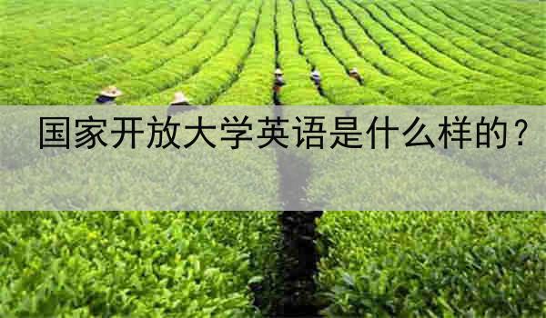 国家开放大学英语是什么样的？