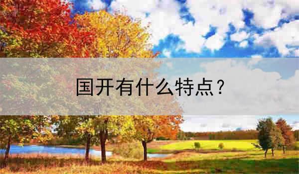国开有什么特点？