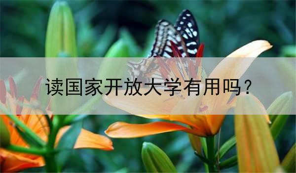 读国家开放大学有用吗？