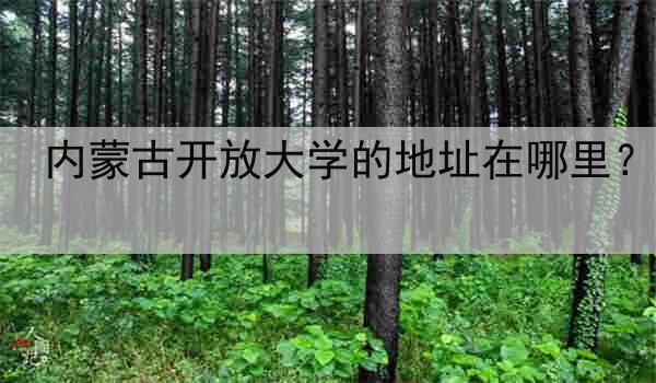 内蒙古开放大学的地址在哪里？