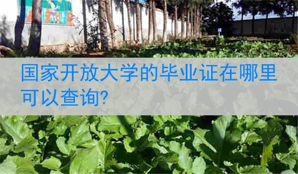 国家开放大学的毕业证在哪里可以查询?