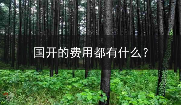 国开的费用都有什么？
