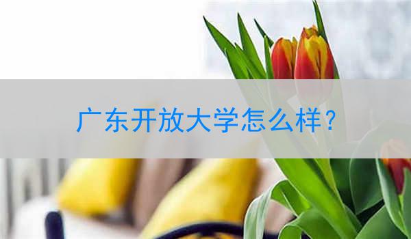 广东开放大学怎么样？