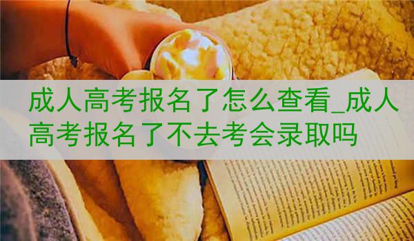 成人高考报名了怎么查看_成人高考报名了不去考会录取吗