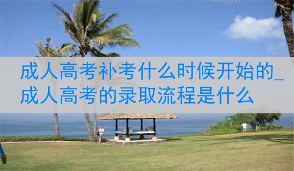 成人高考补考什么时候开始的_成人高考的录取流程是什么