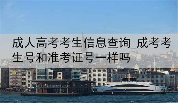 成人高考考生信息查询_成考考生号和准考证号一样吗